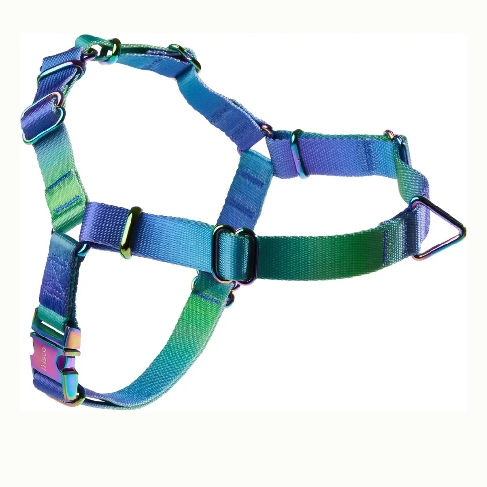 Colorful Dog Harness - Picture 1 of 2